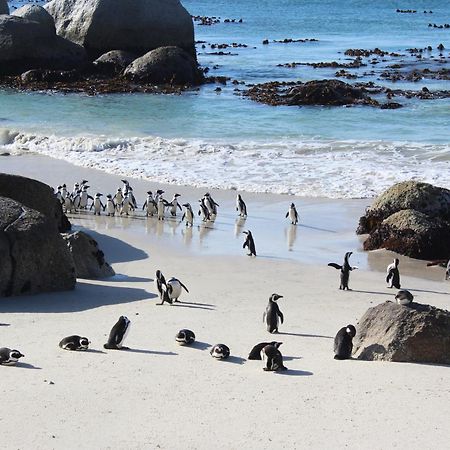 Boulders Beach House Simonʼs Town Exteriör bild