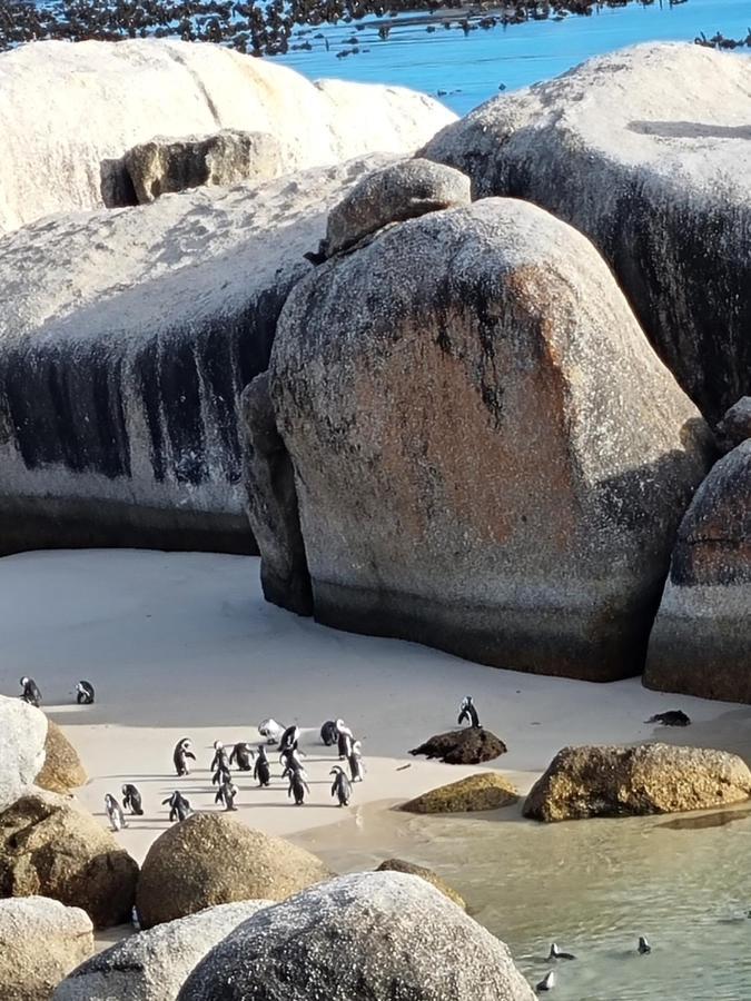 Boulders Beach House Simonʼs Town Exteriör bild
